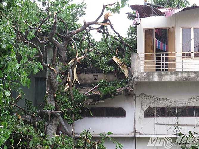 Hiện chưa xác định được thiệt hại về tài sản.