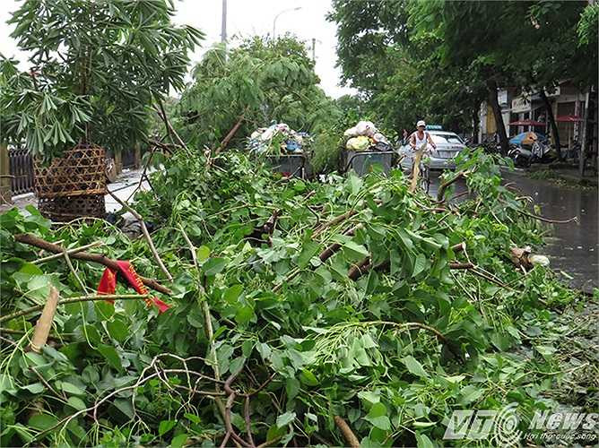 Rác thải ngập đường sau bão