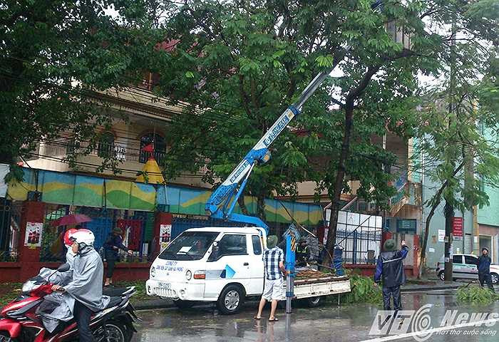 Nhân viên công ty công viên cây xanh cắt tỉa cành gây vướng vào đường điện lưới và cáp viễn thông