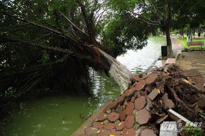 Bão số 3 quần thảo, Quảng Ninh, Hải Phòng ngổn ngang