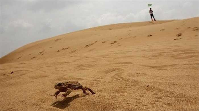 Sa mạc Xiangshawan, còn được biết với tên gọi Sounding Sand Desert (sa mạc 'biết hát') nằm ở khu tự trị Nội Mông (Trung Quốc). Sa mạc nổi tiếng với những cồn cát 'biết hát' trải dài 200m, có độ cao 110m với độ dốc khoảng 45 độ. Âm thanh 'rù rì' ở sa mạc Xiangshawan được cho là giống như tiếng thét của quỷ thần chốn địa ngục, là một hiện tượng bí ẩn khiến các nhà khoa học đau đầu tìm hiểu.