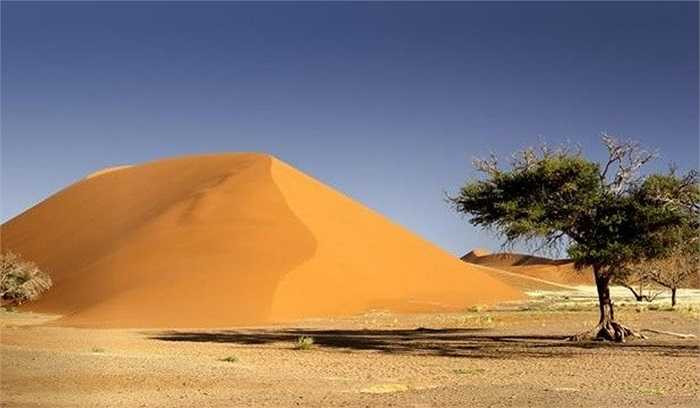 Sa mạc Namib được biết đến như sa mạc lâu đời nhất thế giới. Phía Nam của sa mạc có những cồn cát cao và đẹp tuyệt, mang màu sắc đa dạng, từ ánh hồng đến cam tươi. Những cồn cát này trải dài từ phía Đông đến tận rìa phía Tây, nơi gặp nhau giữa biển cát và đại dương xanh thẳm, biển Atlantic. Sắc cam vàng của cát đối lập mãnh liệt với màu xanh của đại dương là một trong những cảnh quan thiên nhiên kỳ thú nhất hành tinh.