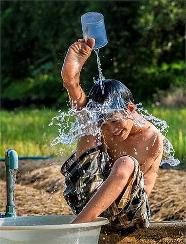 Sức sống mãnh liệt trong tác phẩm Tự lực – Phạm Quốc Hưng.