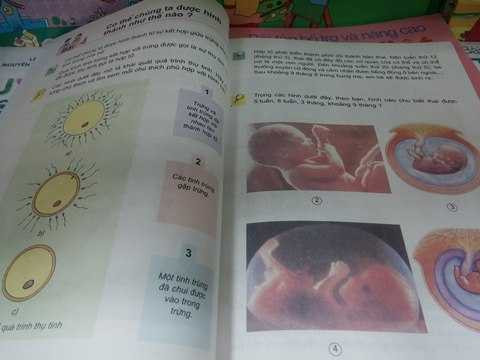 Đứng trước ngay bài học "Cần làm gì để cả mẹ và em bé đều khỏe" là bài học về trứng và tinh trùng.