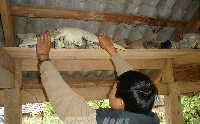 Tại ngôi miếu này, hàng năm, người La Chí vẫn mổ trâu để hiến tế thần rừng, thần rắn.