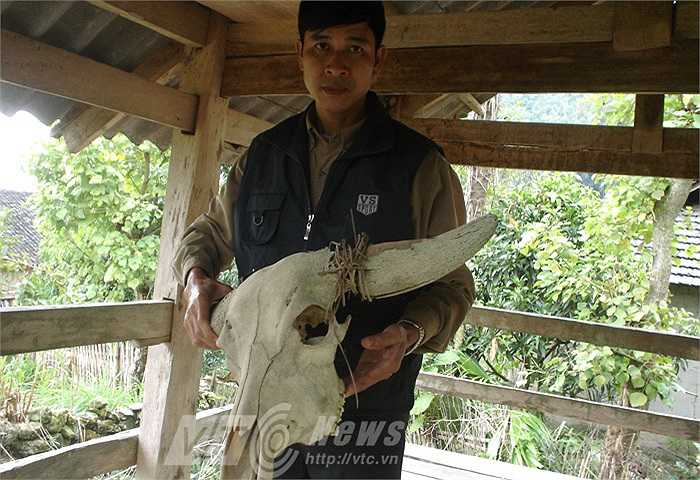 Cúng tế xong, toàn bộ dân bản đánh chén thịt trâu trong rừng. Ăn xong, chiếc sọ trâu vẫn dính sừng được đặt trong miếu. 