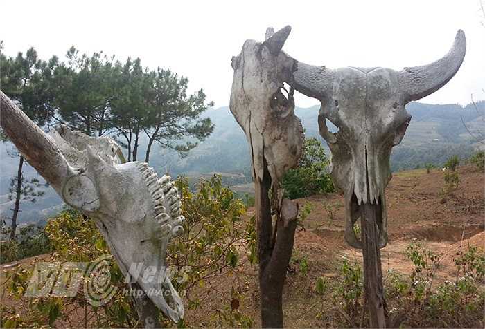 Dân tộc La Chí có khoảng 10.000 người, cư trú ở các xã Bản Phùng, Bản Máy (Hoàng Su Phì), Bản Díu, Nàn Xỉn, Nấm Dẩn, Nà Chì (Xín Mần) của Hà Giang.