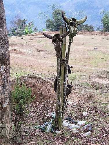 Lễ cúng vừa tiến hành xong, người ta mổ trâu tại nghĩa địa, xẻ thịt, róc xương, rồi lại xếp xương thịt thành hình con trâu, lấy tấm da trâu phủ lên. 