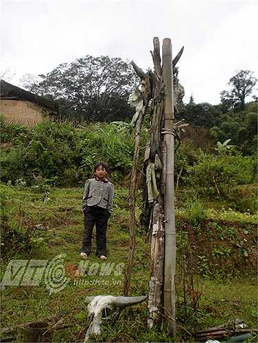 Thầy cúng hiến dâng từng bộ phận của con trâu cho người chết. Khi các nghi lễ này làm xong, người ta đem luộc đầu trâu, bóc sạch thịt và đem sọ trâu cắm ở chiếc cọc bên mộ.