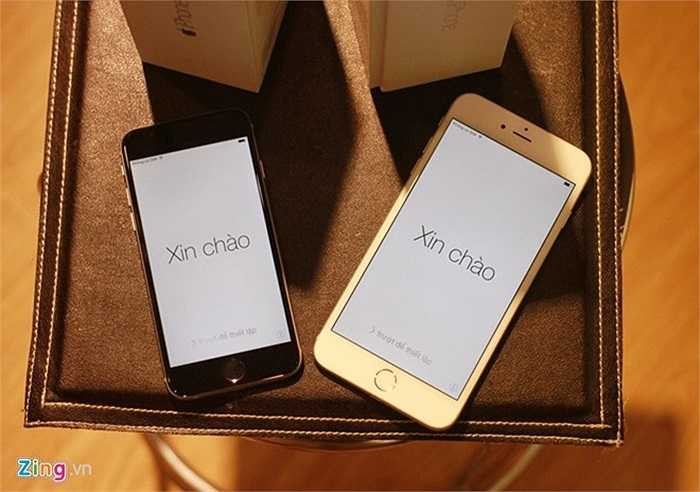 Trước đó, một số bản iPhone 6 và 6 Plus thử nghiệm đã xuất hiện tại Việt Nam nhưng đây chính là 2 chiếc iPhone thương mại đầu tiên xuất hiện tại thị trường trong nước. Cùng có vỏ xám nhưng mặt trước của iPhone 6 Plus có màu trắng trong khi iPhone 6 lại dùng tông màu đen.