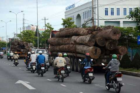 Đà Nẵng, thanh tra, giao thông, xe quá tải, chở gỗ, vượt 250%, tải trọng