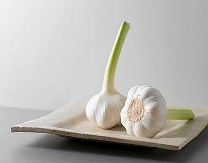 Tỏi kéo dài tuổi thọ