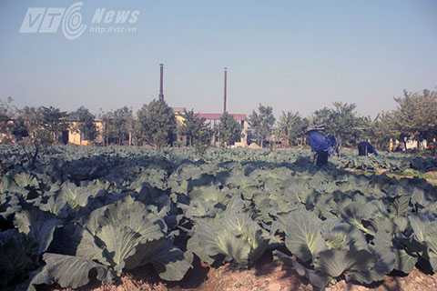 Trung tâm Giáo dục - Lao động Xã hội Hải Phòng, nghiện ngập, cai nghiện