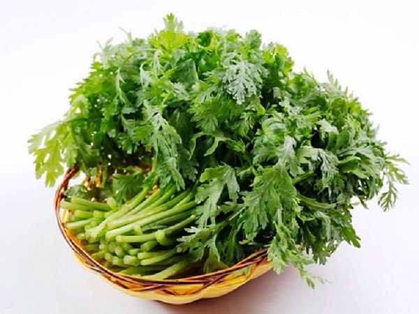 Rau cải cúc: Dùng khoảng 6g (thái nhỏ), cho vào một chút mật ong đem hấp cơm, gạn lấy nước uống nhiều lần trong ngày để giảm ho.