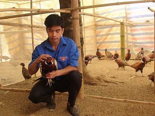 9X tay trắng kiếm trăm triệu từ vườn phật thủ