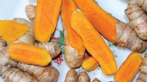 Nghệ có tác dụng làm khô những chỗ phồng rộp và tăng cường quá trình hồi phục của những vùng da bị tổn thương. Đối với bệnh zona, cách áp dụng là dùng dầu mù tạt bôi vào vùng da nổi mụn trước, sau đó xoa trùm nước nghệ cô đặc lên.