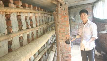 9x kiếm trăm triệu từ mô hình nuôi chim, rắn