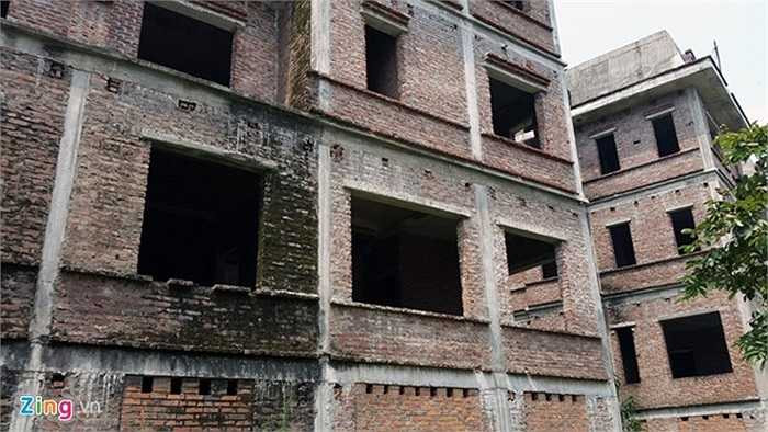 Rêu đang phủ dần trên các vách tường. 