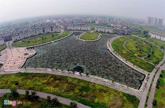 Liền với hồ nước là khu thể thao, giải trí, ăn uống, thương mại, hành chính…. Ở khu vực này bố trí các biệt thự đơn lập, nhà vườn, nhà liền kề, nhà ở, lô phố, tận dụng tối đa cảnh quan mặt hồ và các công trình công cộng. Trong ảnh, hồ sen đen ngòm vì không được chăm sóc. 