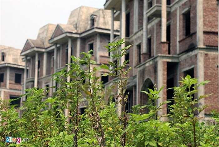 Được biết, nguyên nhân khiến cả khu đô thị bỏ hoang là do phần lớn khách hàng không thể giao đủ số tiền mua nhà sau khi công trình hoàn thiện từ cuối năm 2012. Hiện nay, ở các khu xây dở dang chỉ mới xong phần thô là cây cỏ mọc um tùm. 