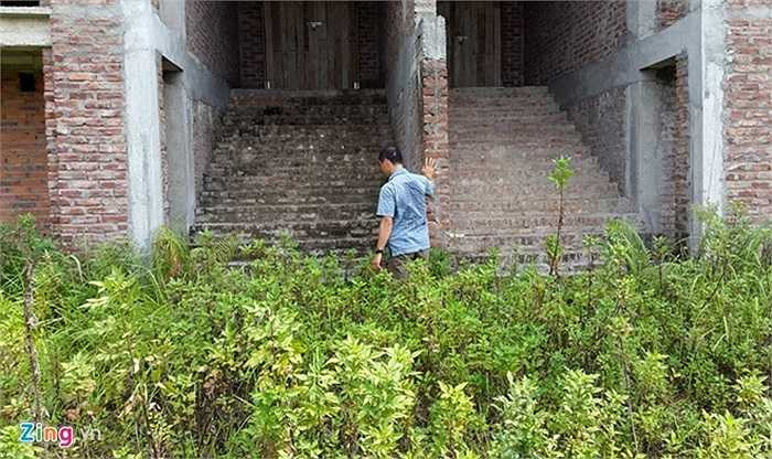 Muốn bước vào phải len giữa rừng cây dại mọc đầy trước cửa. 