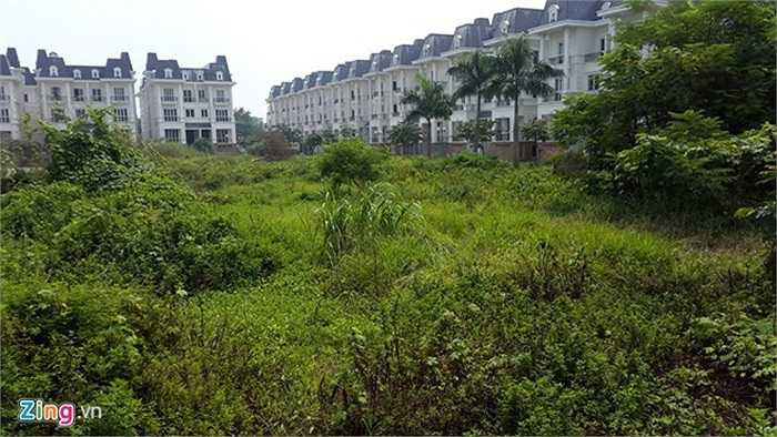 Khu vực dự định sẽ là sân chơi và các tiện ích khác cũng trong tình trạng tương tự. 