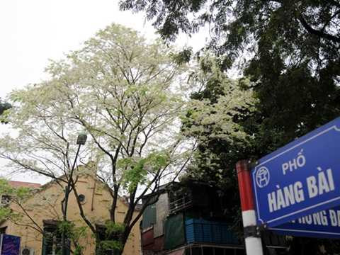 khung giá đất, bất động sản, địa ốc, bất động sản, nhà đất