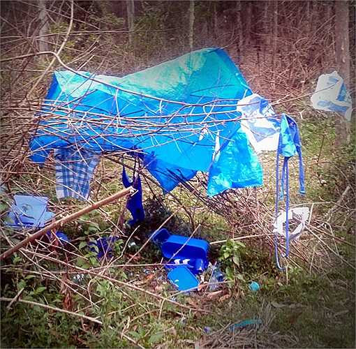 Khi xuất hiện nàng chim mái trước ‘nhà’, lập tức những chàng chim nhảy ra chào hỏi mang tính nghi thức.