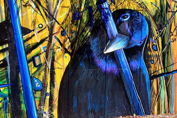 Và lúc này lũ chim Bowerbird cũng tranh thủ tẩm bổ cho mình bằng các loài côn trùng ẩn nấp trong những tán lá rừng.