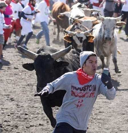Bức ảnh ghi lại khoảnh khắc một chàng trai cố chụp hình giữa cả đàn bò tót hung hãn là một trong số những tác phẩm được đánh giá là xứng đáng vào top 20.