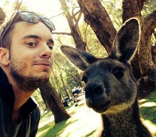 Chàng trai người Úc thích thú với sự phối hợp ăn ý của một chú chuột túi.