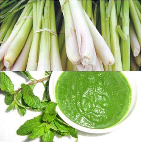 Lợi ích bất ngờ từ cây sả: Chống ung thư, giải độc