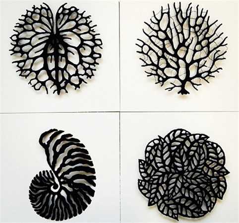 Theo My Modern Met, Meredith Woolnough hiện là thần tượng của không ít bạn trẻ tại Úc
