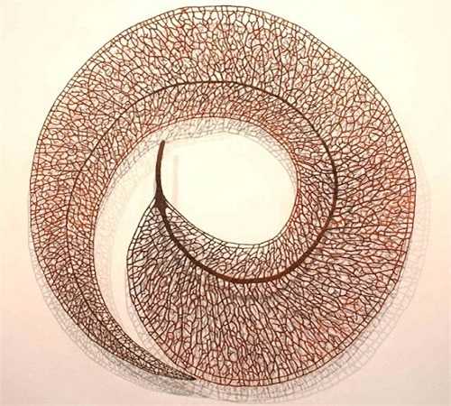 Chủ đề chính trong các tác phẩm của cô gái người Úc luôn là thiên nhiên, với cây cỏ, hoa lá, ngập tràn màu sắc rực rỡ.