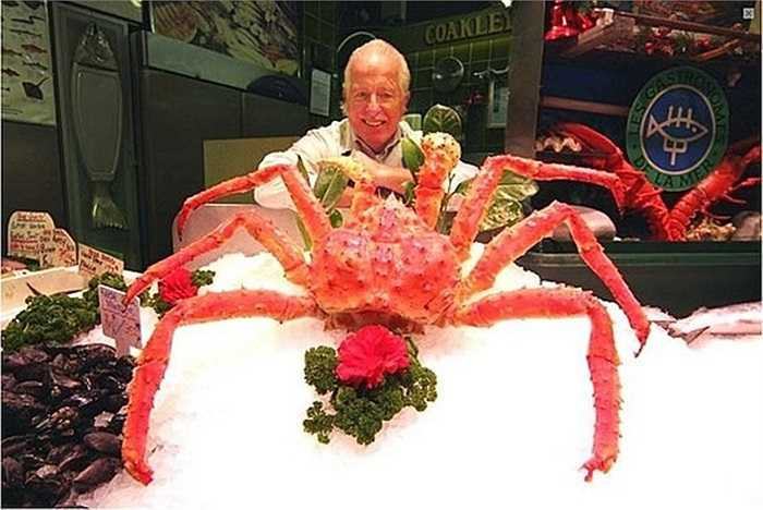 Khi mùa cua kết thúc, thuyền trưởng săn bắt cua hoàng đế Scott Campbell cho biết, một năm ông kiếm được khoảng 200.000 USD (sau khi trừ chi phí khai thác như thực phẩm, mồi, nhiên liệu...) từ công việc này nếu thu hoạch được nhiều cua.