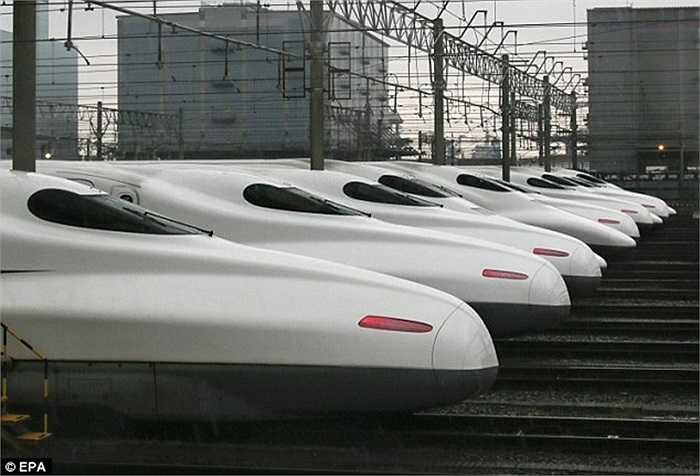 Hệ thống tàu điện nổi tiếng Shinkansen của Nhật Bản vừa tròn nửa thế kỷ đi vào hoạt động, trở thành một trong những biểu tượng về văn hóa và sự phát triển của đất nước Mặt trời mọc. 