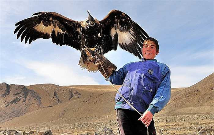 Với ánh mắt tinh nhanh, cú lao thần tốc, con chim sẽ tấn công vào xương sống của con vật. Khó có con mồi nào thoát khỏi bộ móng vuốt sắc tựa dao của loài chim này.