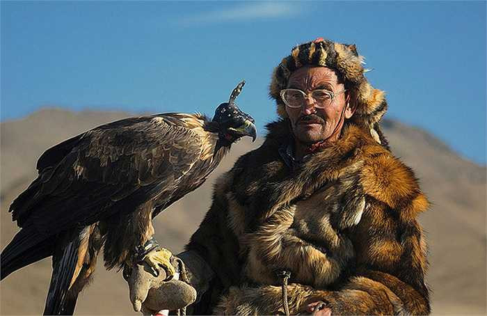 Đại bàng vàng có tầm nhìn xa gấp 8 lần con người. Vậy nên, khi đã phát hiện ra con mồi, thì con mồi đó khó có thể thoát khỏi nanh vuốt của chúng.