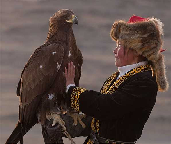 Sau đó, sẽ cho chúng đứng trên một cành cây, khúc gỗ hay dây thép. Người ta không cho chúng ăn gì trong nhiều ngày, cho đến khi chú chim kiệt sức vì đói và rơi xuống đất.
