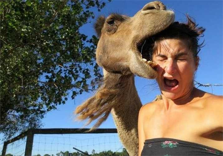 Có thể nói, chụp ảnh 'tự sướng' vẫn là trào lưu hot nhất của giới trẻ hiện nay. Bên cạnh những tấm hình độc đáo, nguy hiểm, khoe mẽ phản cảm... mới đây, cư dân mạng còn có tìm ra 8 bức ảnh được cho là ngớ ngẩn nhất. 