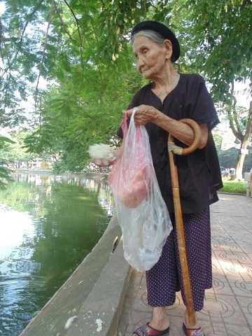 Theo chân cụ bà 92 tuổi, 60 năm nuôi cá Hồ Gươm