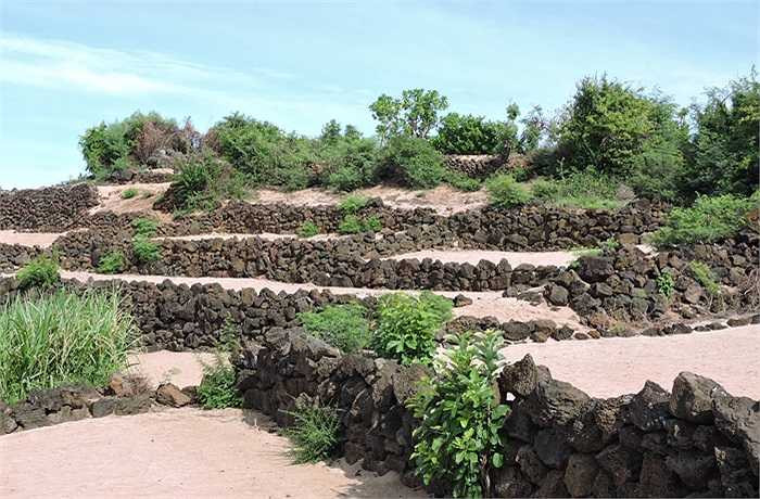 Độc đáo ruộng bậc thang hàng trăm năm tuổi.