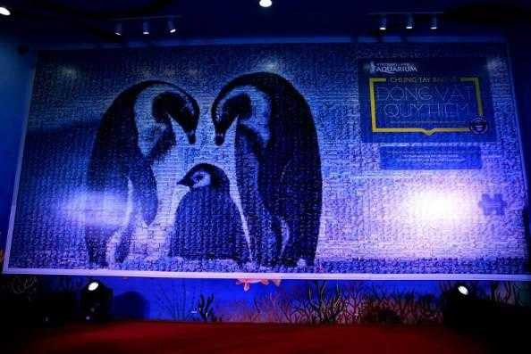 VINPEARL LAND LẬP KỶ LỤC BỨC TRANH GHÉP HÌNH BẢO VỆ ĐỘNG VẬT LỚN NHẤT VIỆT NAM