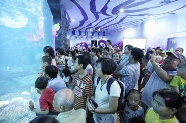 VINPEARL LAND LẬP KỶ LỤC BỨC TRANH GHÉP HÌNH BẢO VỆ ĐỘNG VẬT LỚN NHẤT VIỆT NAM