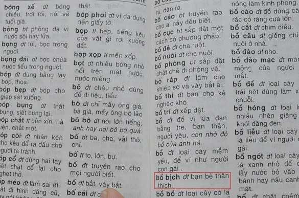 Giải nghĩa từ "Bồ bịch" là bạn bè thân thích