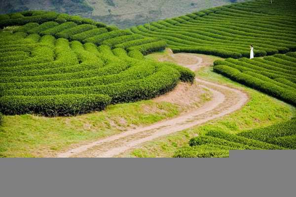 Những địa điểm phượt ở miền Bắc thu hút giới trẻ