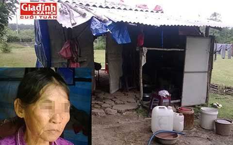 bạo hành tình dục, địa ngục trần gian, 