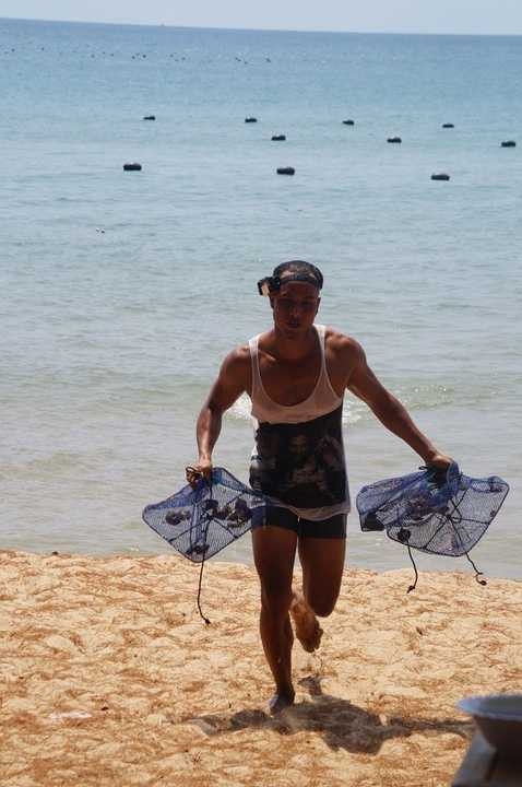 Bơi lội, bắt cá dưới biển cũng không làm khó được David Phạm.