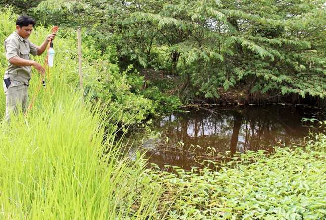 Bé trai chết trong lùm cỏ nhịn ăn dành tiền giúp nội