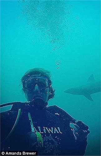 Amanda là một người đam mê cá mập và nhiếp ảnh. Để có được những hình ảnh chân thực và gần nhất về hàm răng cá mập, cô phải sử dụng lồng lặn trong Vịnh Mossel, với hy vọng được nhìn thấy sinh vật biển nhiều lần.